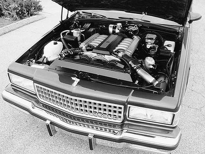 V12-Caprice.jpg